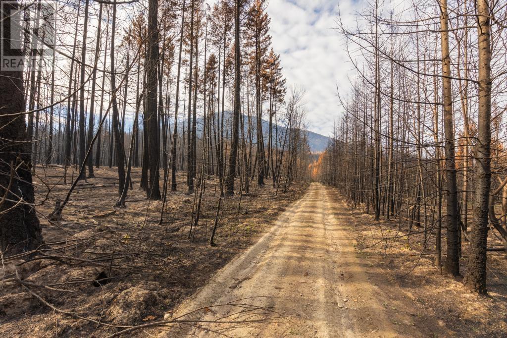 8767 Holding Rd, Adams Lake, British Columbia  V0E 1M0 - Photo 6 - 175633