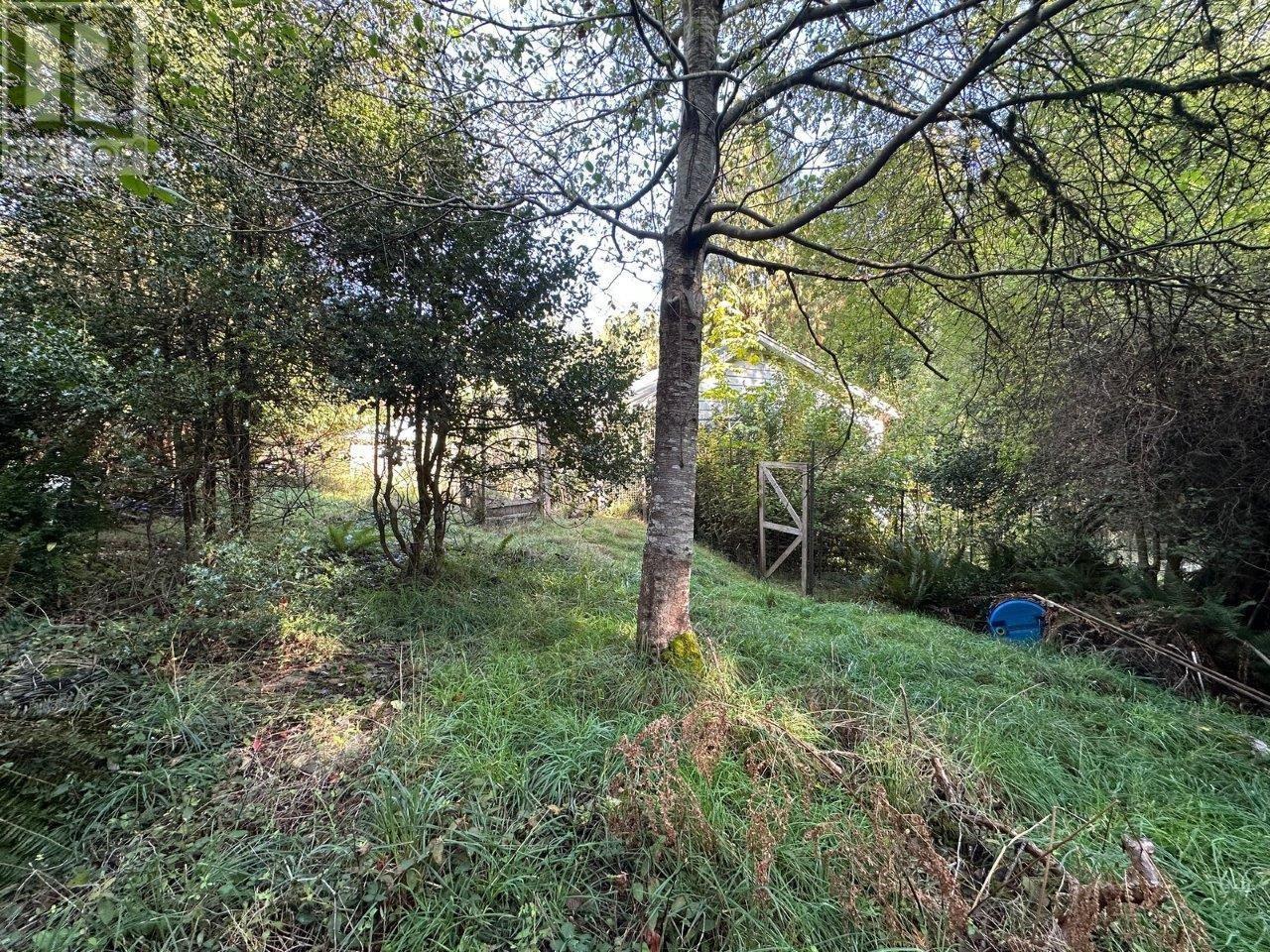 1367 Mount Gardner Road, Bowen Island, British Columbia  V0N 1G2 - Photo 5 - R2829371