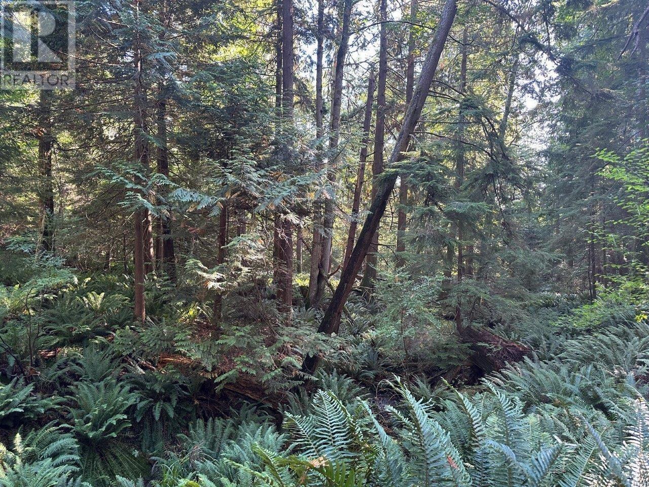 1367 Mount Gardner Road, Bowen Island, British Columbia  V0N 1G2 - Photo 13 - R2829371
