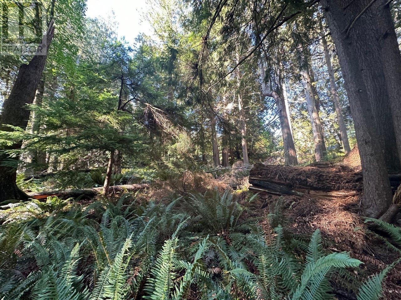 1367 Mount Gardner Road, Bowen Island, British Columbia  V0N 1G2 - Photo 11 - R2829371