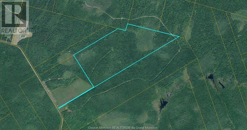 Lot 651 St. Lazare RD, champ dore, New Brunswick