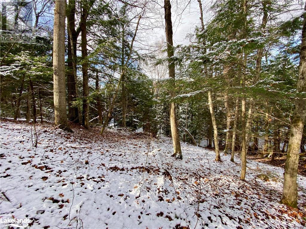 0 1505 North Shore Road Unit# 0, Muskoka Lakes, Ontario  P0B 1M0 - Photo 19 - 40508455