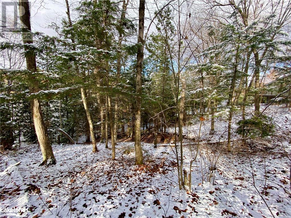 0 1505 North Shore Road Unit# 0, Muskoka Lakes, Ontario  P0B 1M0 - Photo 20 - 40508455