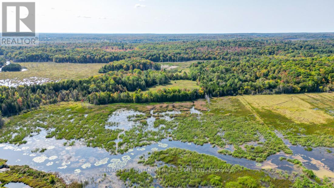 919 Cooper Rd, Madoc, Ontario  K0K 2K0 - Photo 31 - X7026578