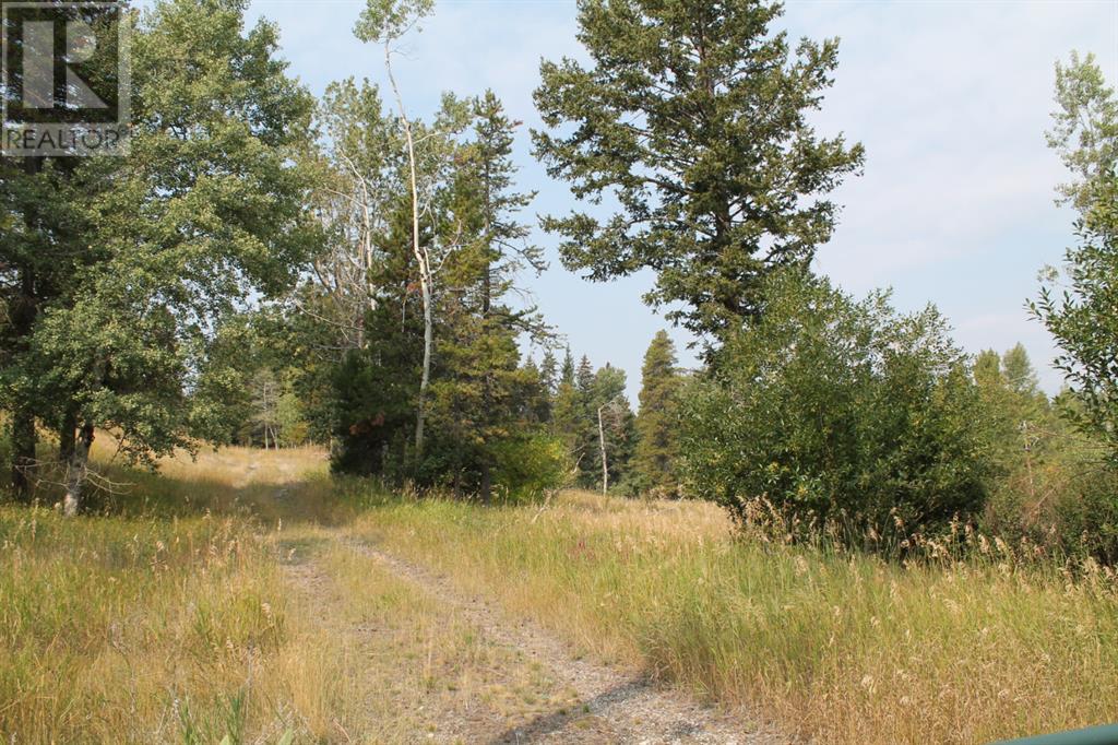 11110 18 Avenue, Blairmore, Alberta  T0K 0E0 - Photo 2 - A1211002