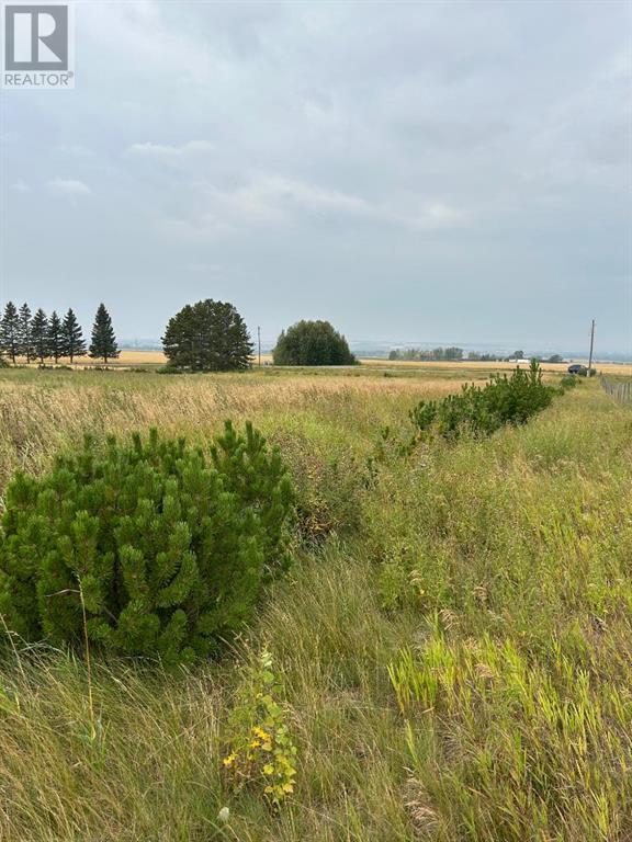 380070 120 Street E, Rural Foothills County, Alberta  T1V 1N3 - Photo 19 - A2077770