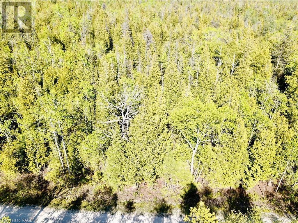 30 Pike Street, Northern Bruce Peninsula, Ontario  N0H 1W0 - Photo 7 - 40508491