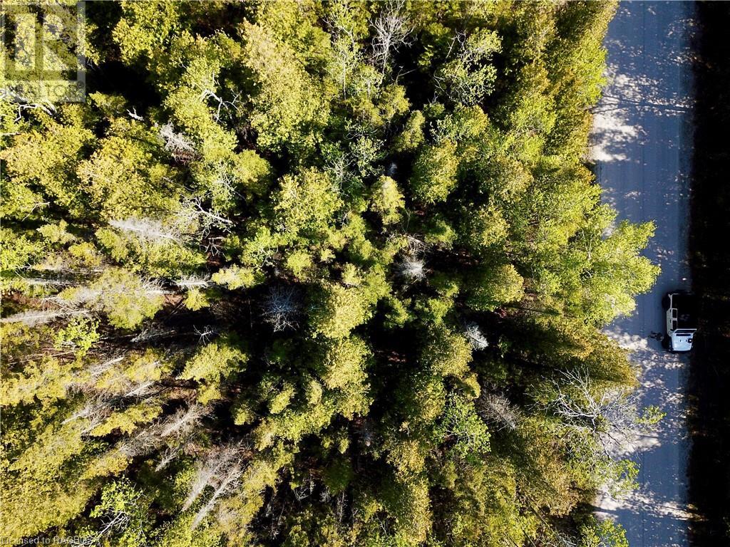 30 Pike Street, Northern Bruce Peninsula, Ontario  N0H 1W0 - Photo 9 - 40508491