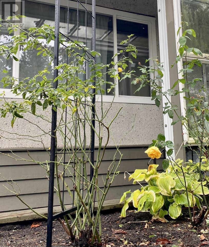 8520 Odlin Crescent, Richmond, British Columbia  V6X 1E8 - Photo 31 - R2823120