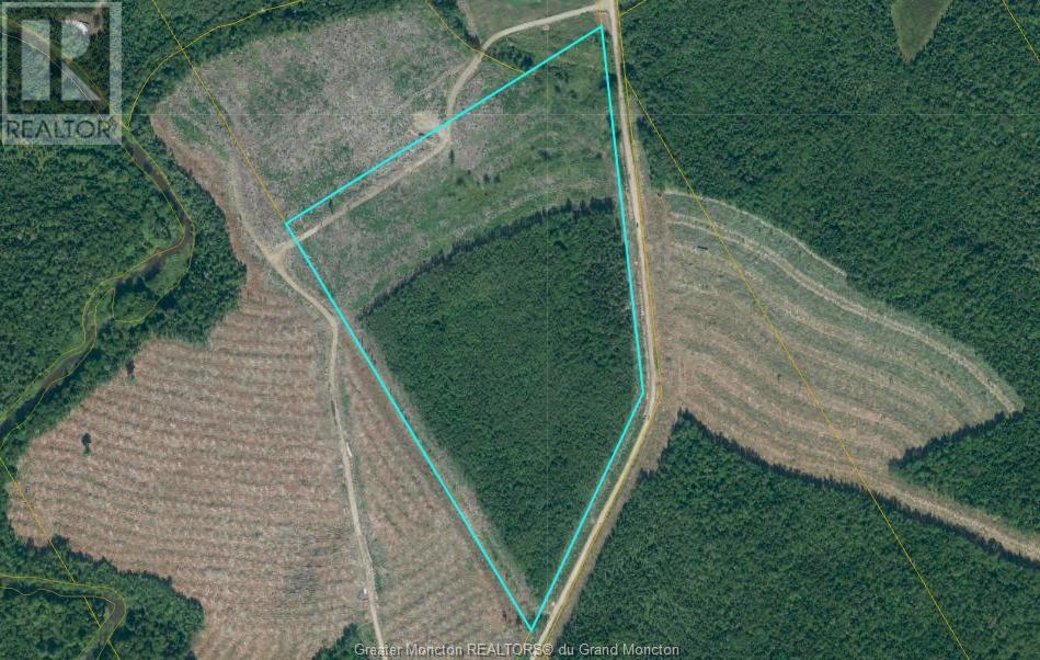 Lot Douglas Rd, Coates Mills, New Brunswick  E4V 3E3 - Photo 1 - M156083