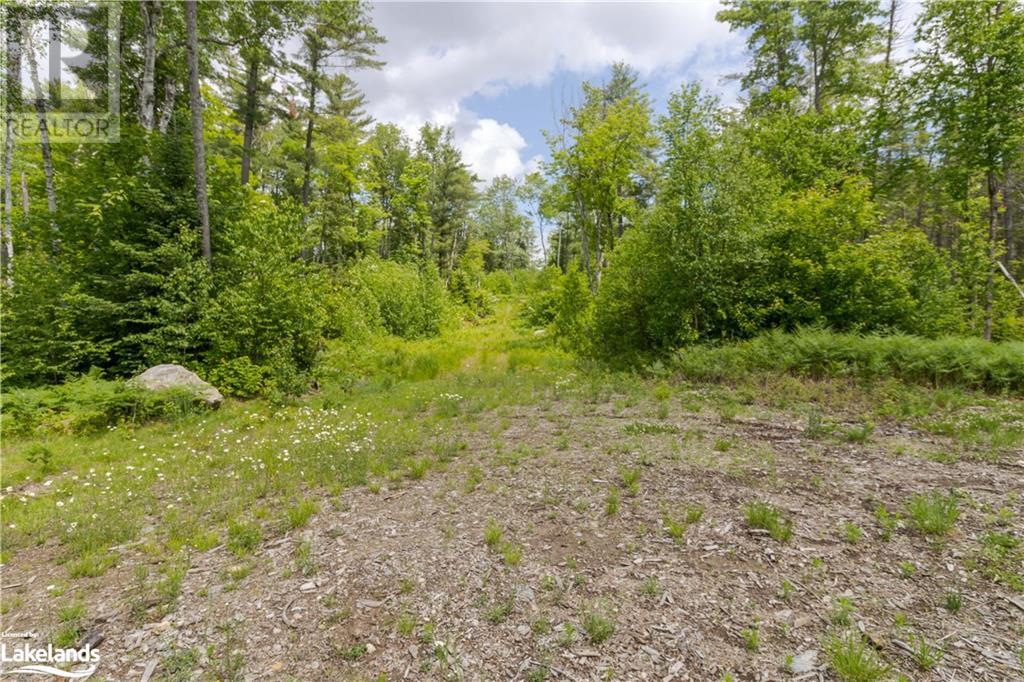 0 Haliburton Lake Road, Haliburton, Ontario  K0M 1S0 - Photo 13 - 40509785