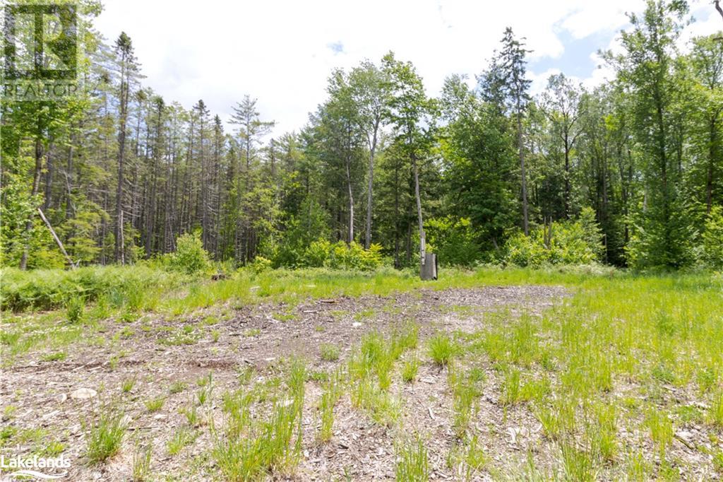 0 Haliburton Lake Road, Haliburton, Ontario  K0M 1S0 - Photo 14 - 40509785