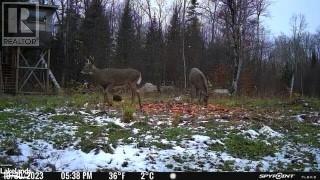 0 Haliburton Lake Road, Haliburton, Ontario  K0M 1S0 - Photo 26 - 40509785