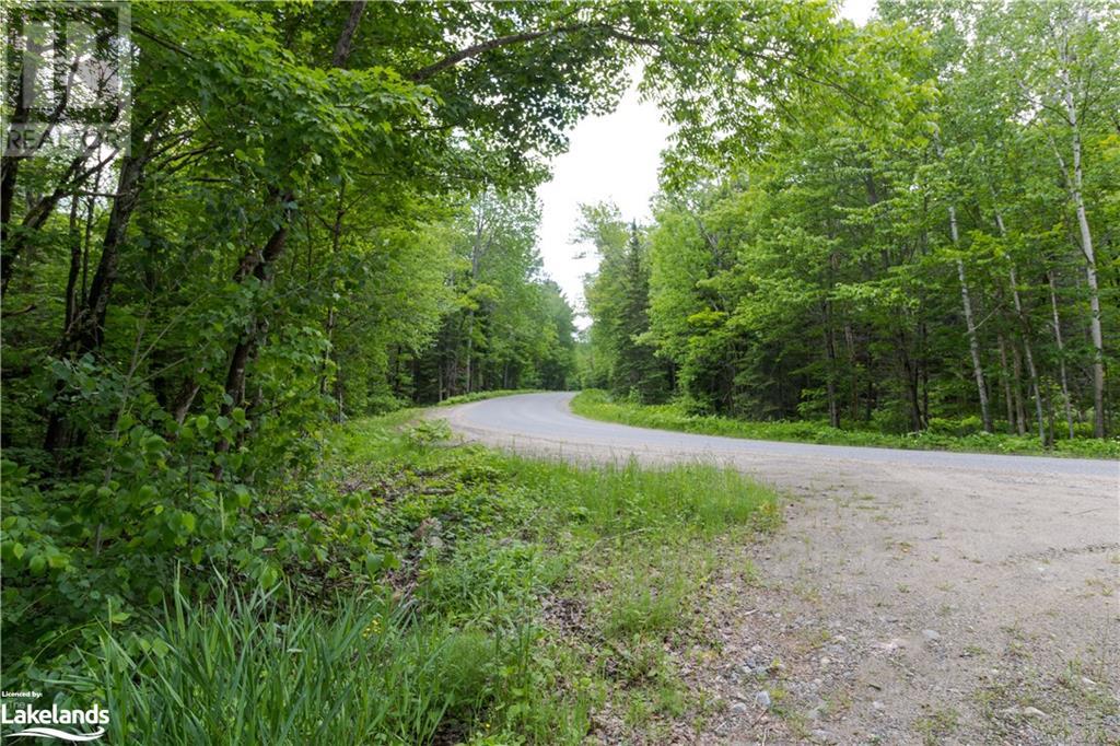 0 Haliburton Lake Road, Haliburton, Ontario  K0M 1S0 - Photo 37 - 40509785