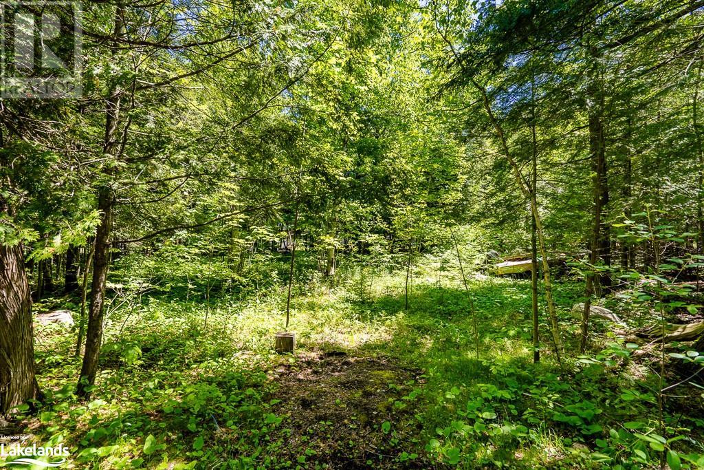 Lot 117 Iroquois Crescent, Tiny, Ontario  L9M 0C6 - Photo 7 - 40508811