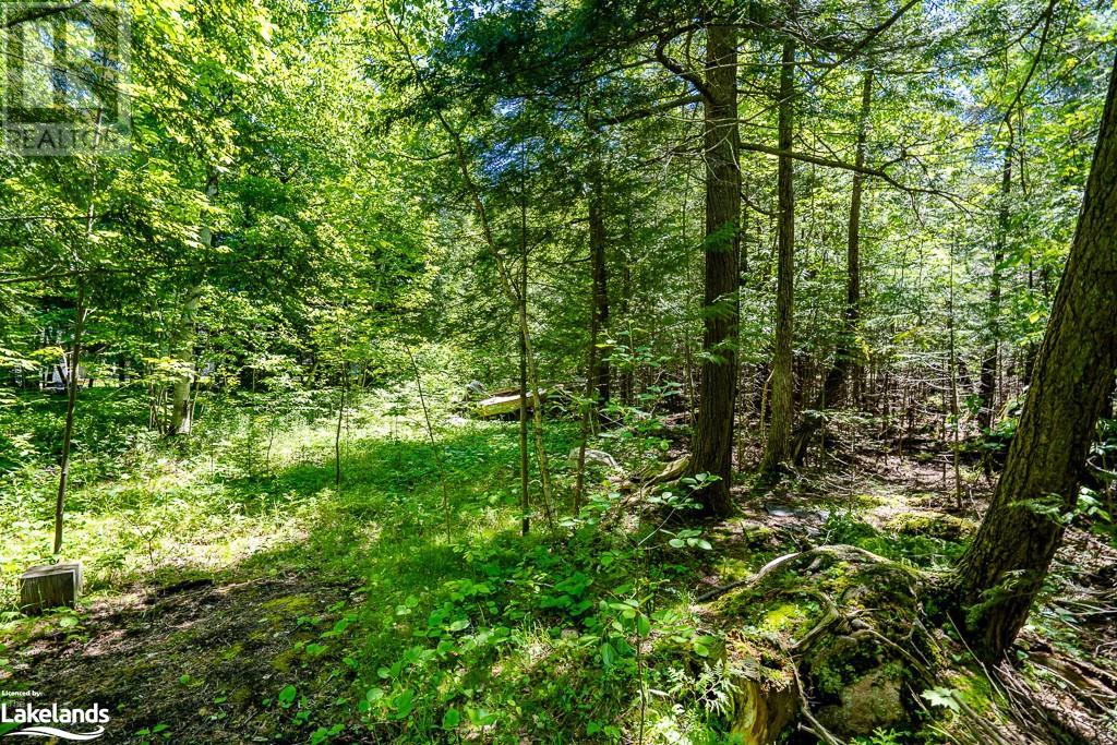 Lot 117 Iroquois Crescent, Tiny, Ontario  L9M 0C6 - Photo 8 - 40508811