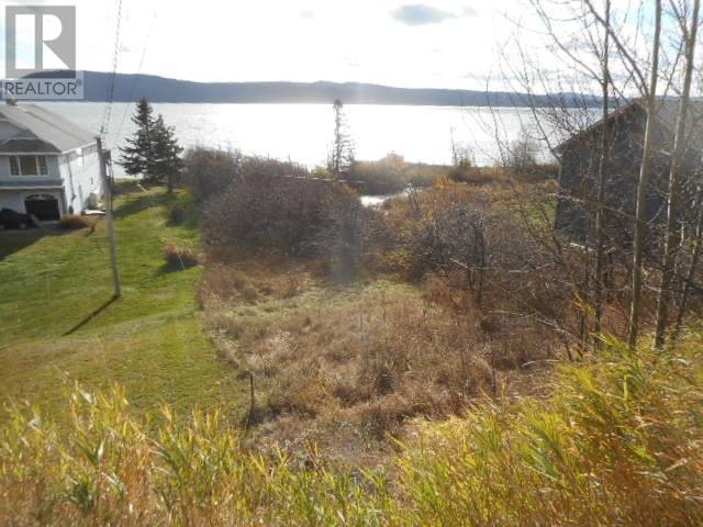 313 Main Street, Springdale, Newfoundland & Labrador  A0J 1T0 - Photo 3 - 1265352