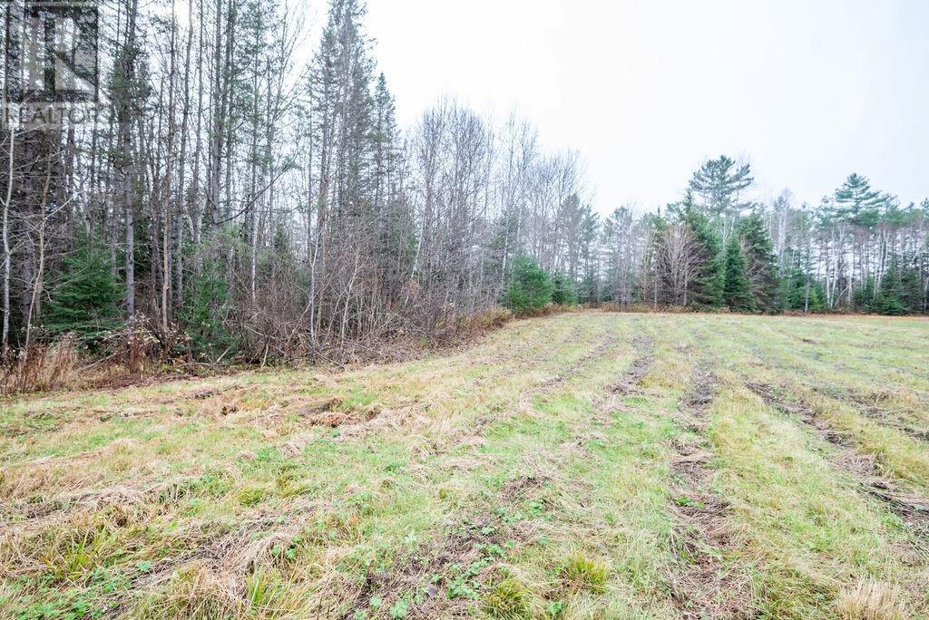 Pt Lt 15 Bronson Road, Laurentian Hills, Ontario  K0J 1P0 - Photo 4 - 1368154