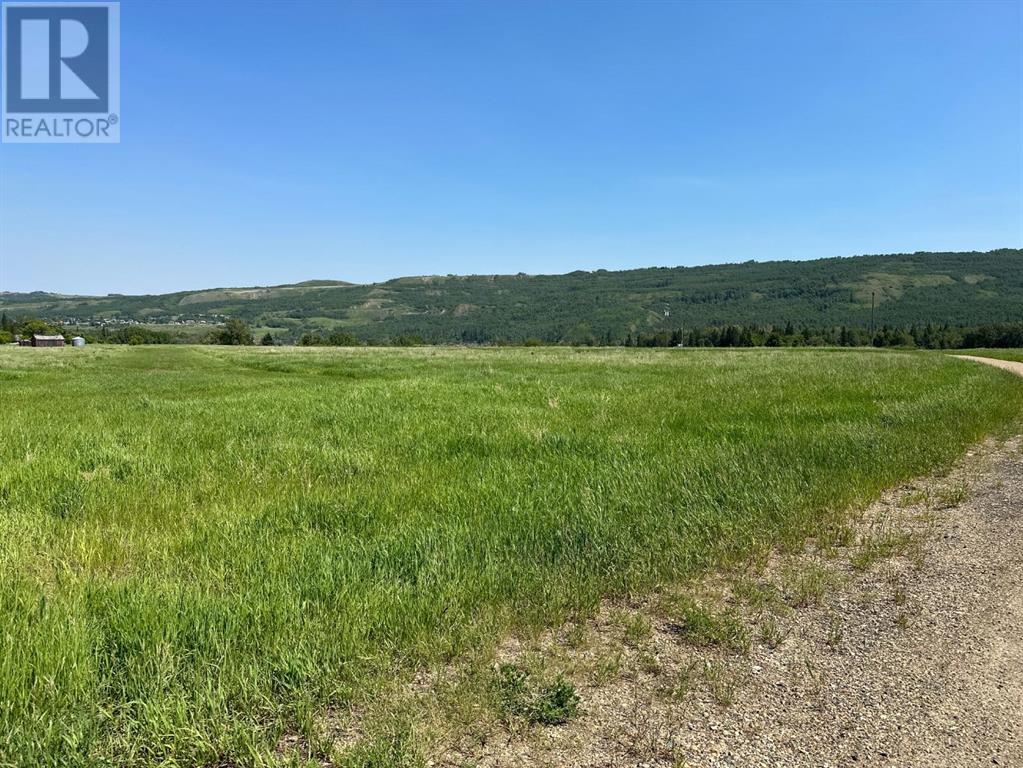 On River Lot 40 East Of Highway 684 Shaftsbury Trail Highway, Peace River, Alberta  T8S 1X4 - Photo 6 - A1142964