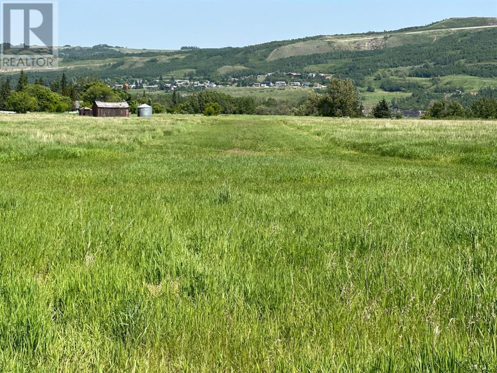 On River Lot 40 East Of Highway 684 Shaftsbury Trail Highway, Peace River, Alberta  T8S 1X4 - Photo 5 - A1142964