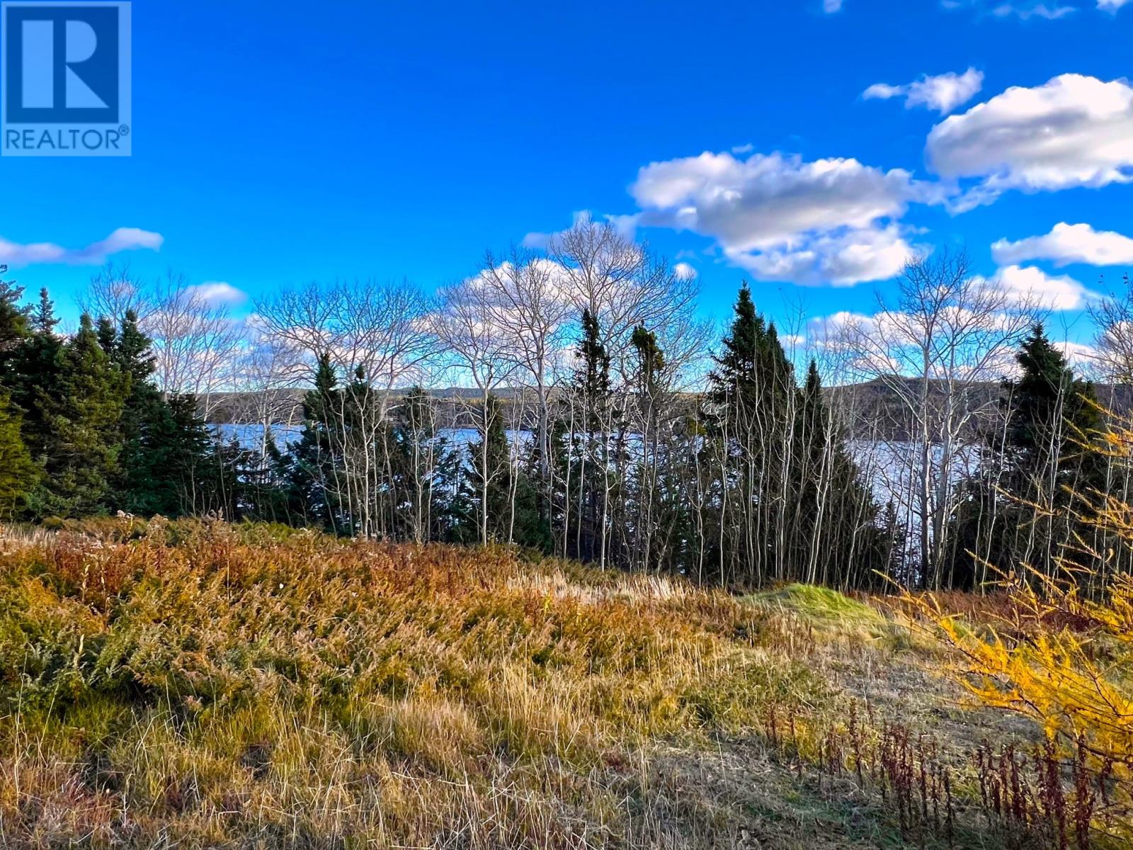 Lot #1 Branch Road, Charleston, Newfoundland & Labrador  A0C 1K0 - Photo 5 - 1265371
