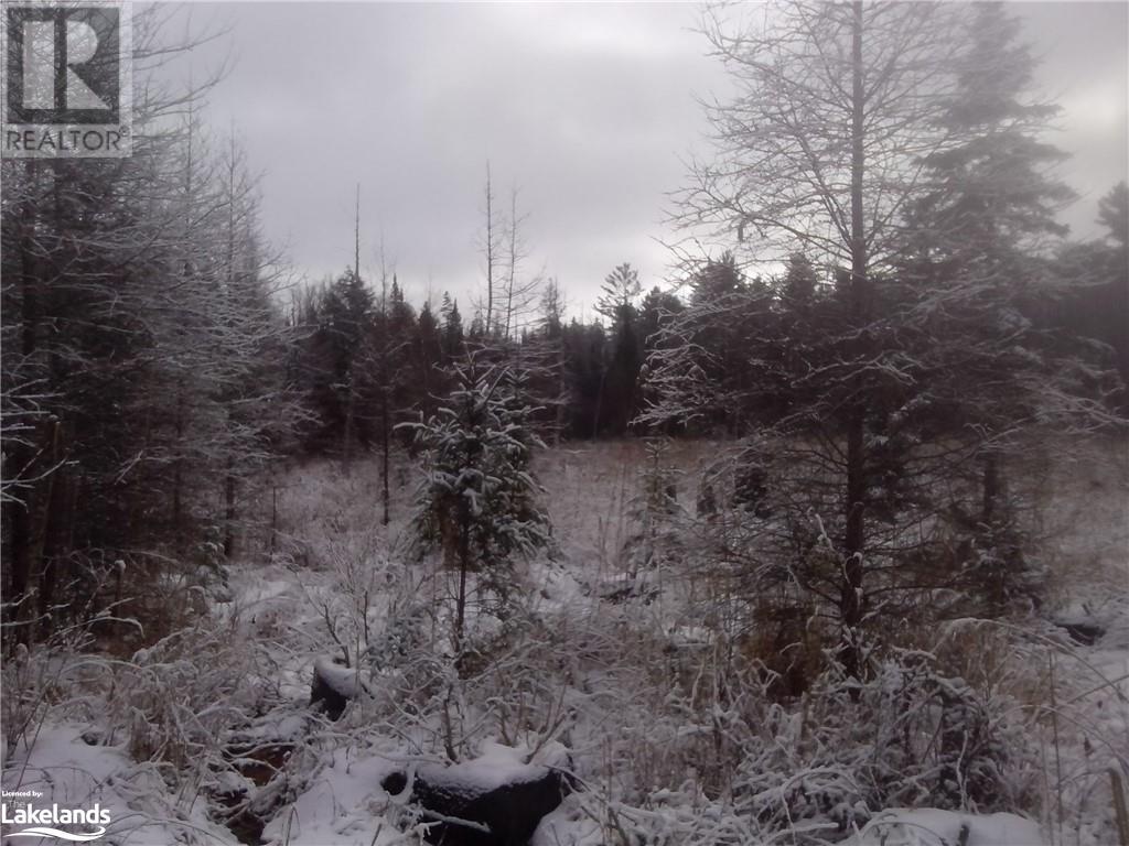 Lot 20 Concession 5 Road, Newholm, Ontario  P1H 2J3 - Photo 4 - 40509731