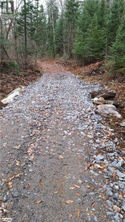 Lot 20 Concession 5 Road, Newholm, Ontario  P1H 2J3 - Photo 6 - 40509731