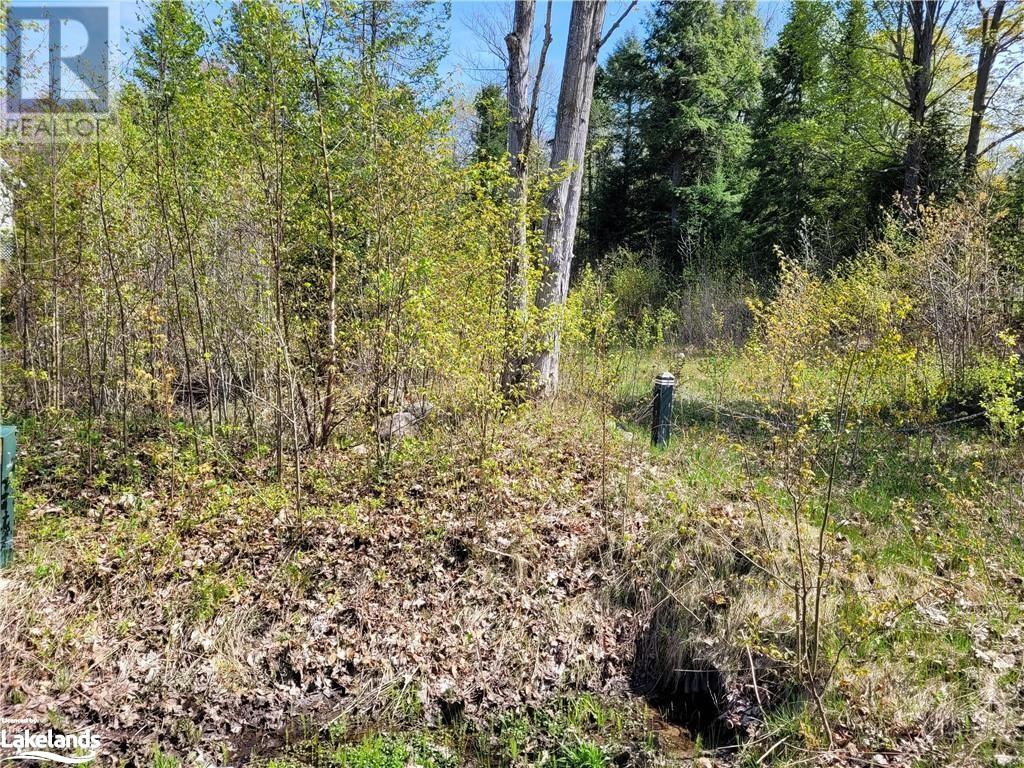 Lot 435 Champlain Road, Tiny, Ontario  L9M 0C9 - Photo 2 - 40510532