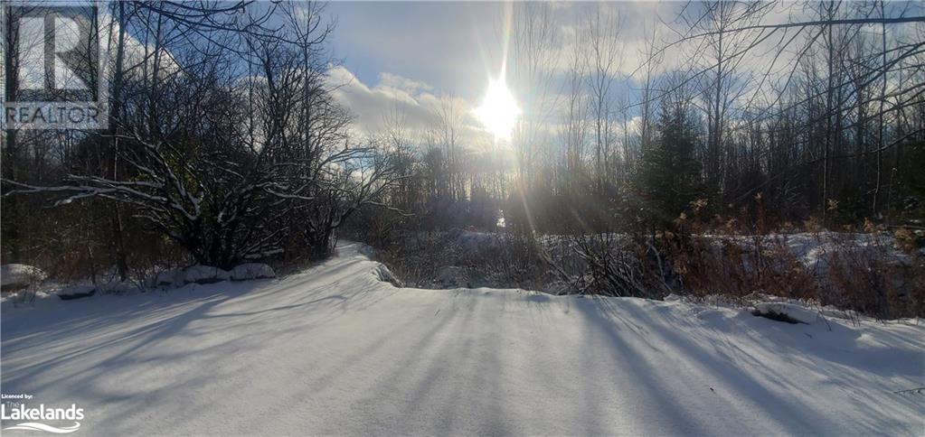 159 Harbour Beach Drive, Meaford (Municipality), Ontario  N4L 1B0 - Photo 3 - 40484531