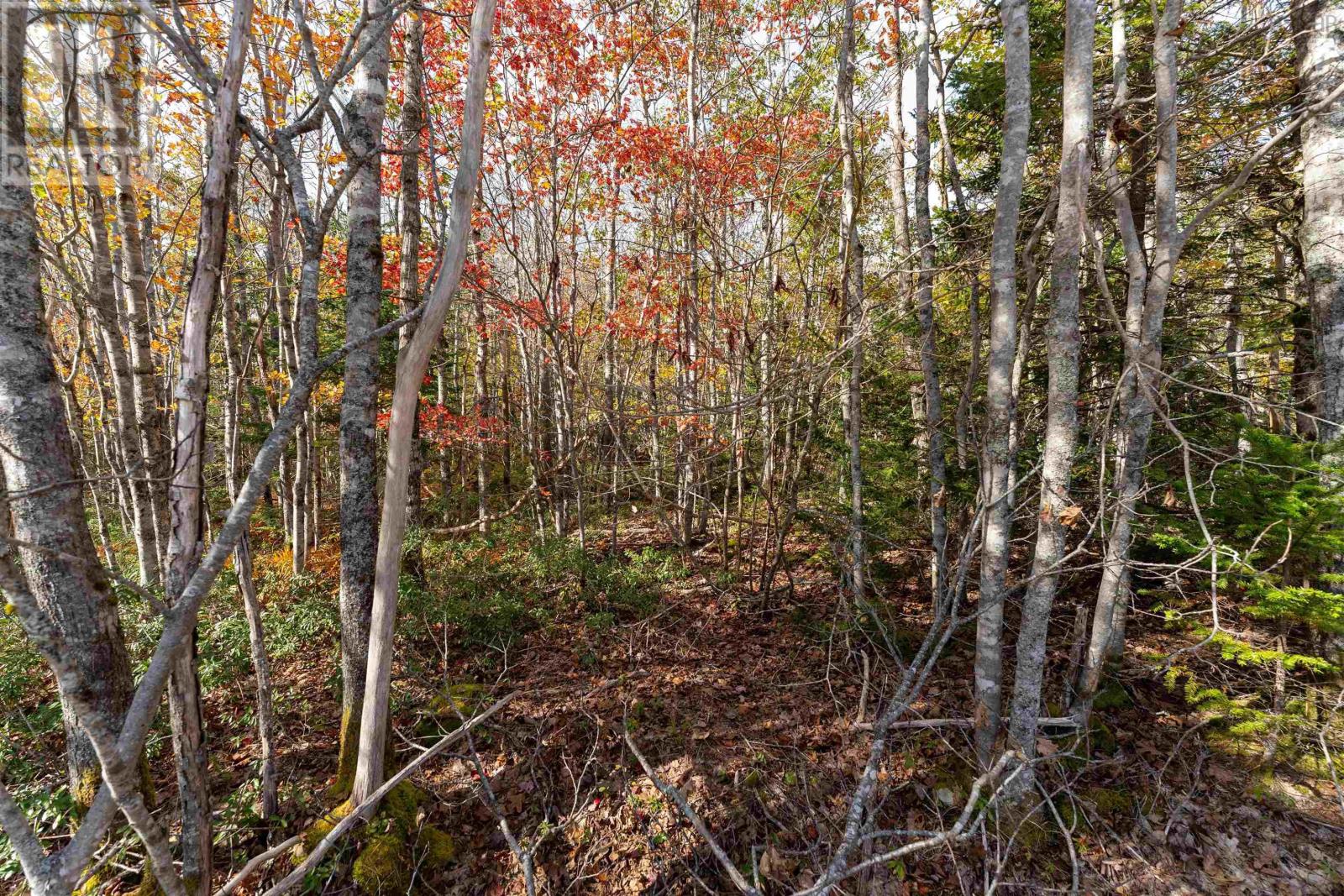 64 Morton Drive, Liverpool, Nova Scotia  B0T 1K0 - Photo 1 - 202323386