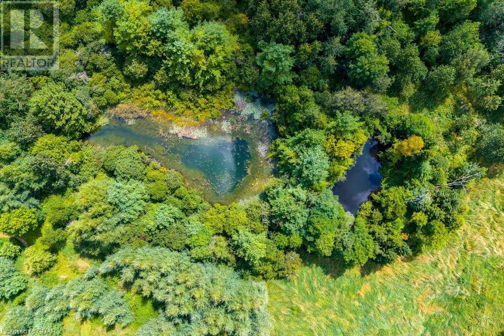 6911 2nd Line, Centre Wellington, Ontario  N1M 2W4 - Photo 8 - 40510849