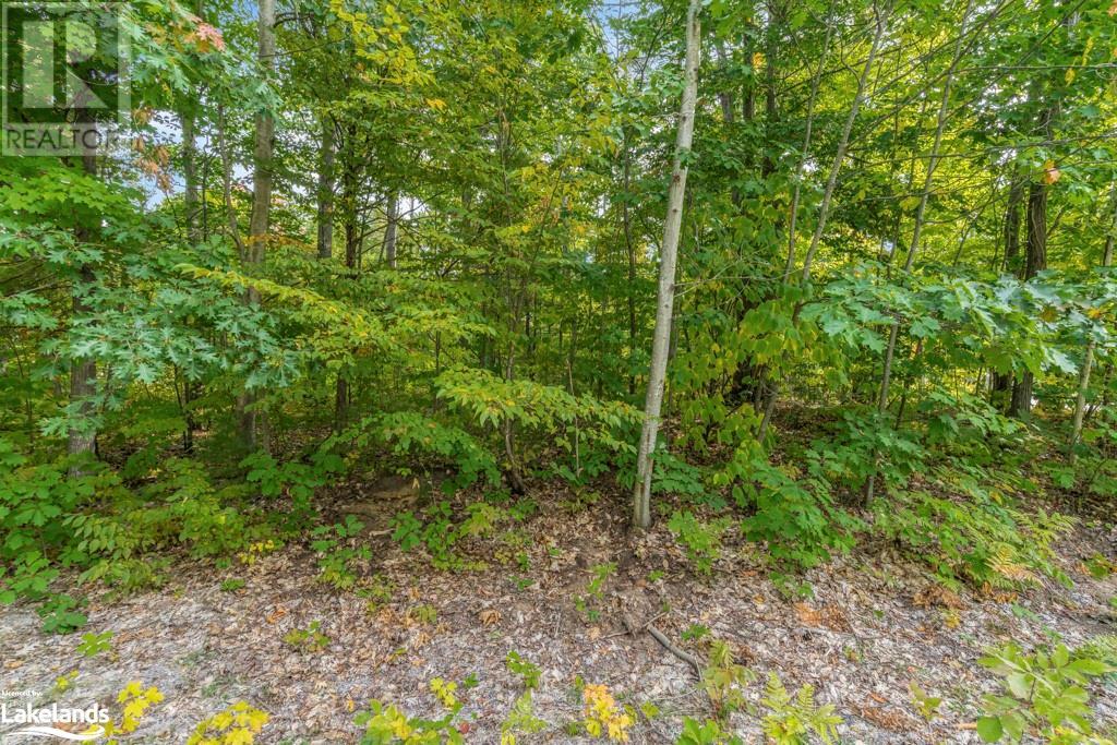 Lot 624 Forest Circle, Tiny, Ontario  L9M 1R3 - Photo 8 - 40491373