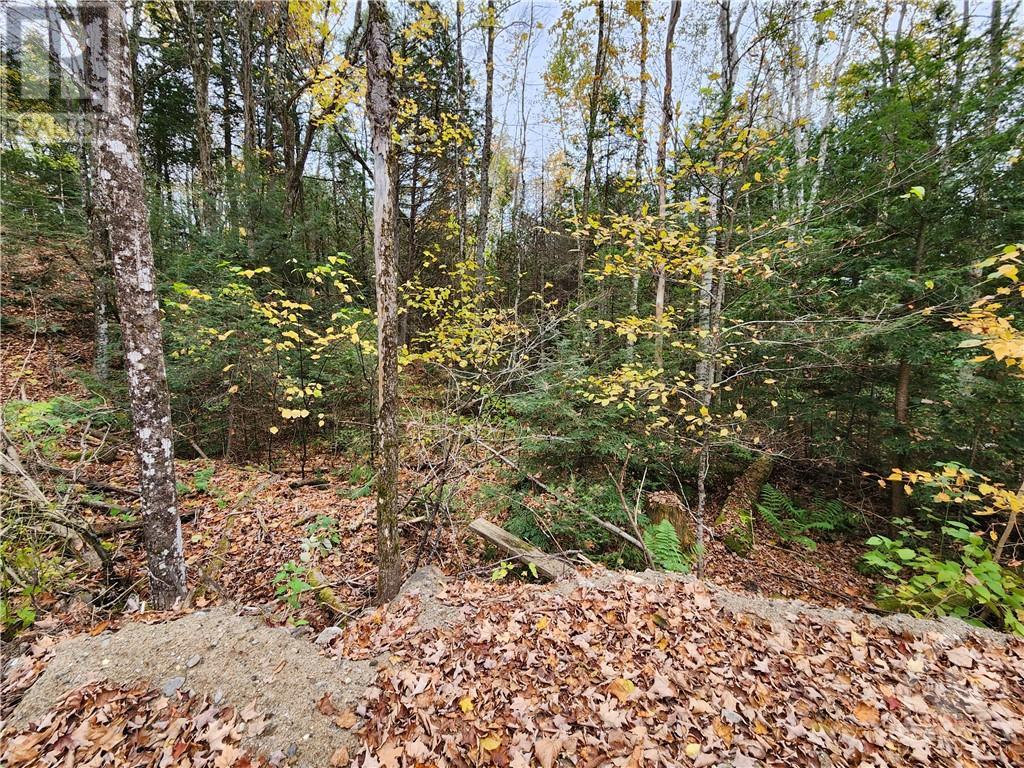 1140 Swaugers Creek Lane, Ardoch, Ontario  K0H 1C0 - Photo 12 - 1367076