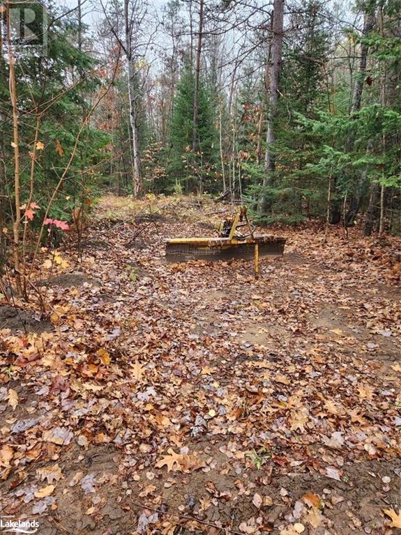 170 Balm Beach Road W, Tiny Twp, Ontario  L0L 2J0 - Photo 9 - 40510626