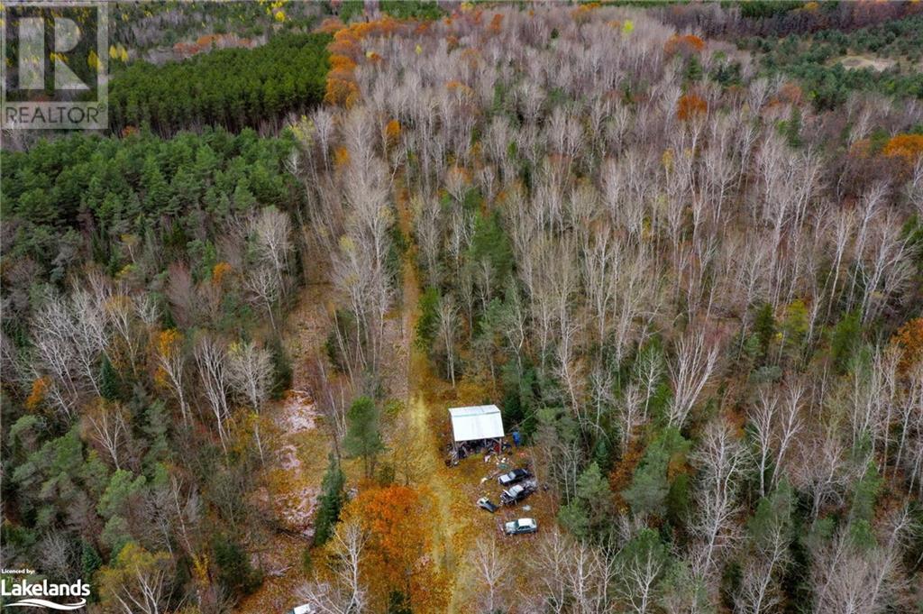 170 Balm Beach Road W, Tiny Twp, Ontario  L0L 2J0 - Photo 19 - 40510626