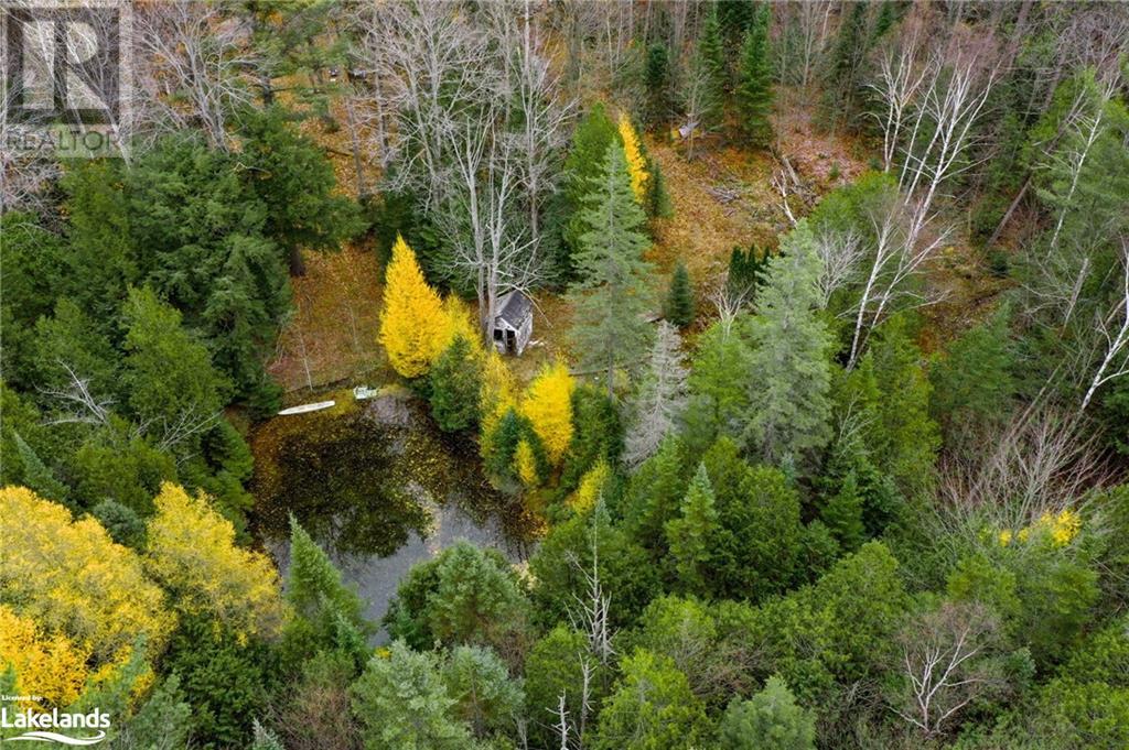 170 Balm Beach Road W, Tiny Twp, Ontario  L0L 2J0 - Photo 12 - 40510626