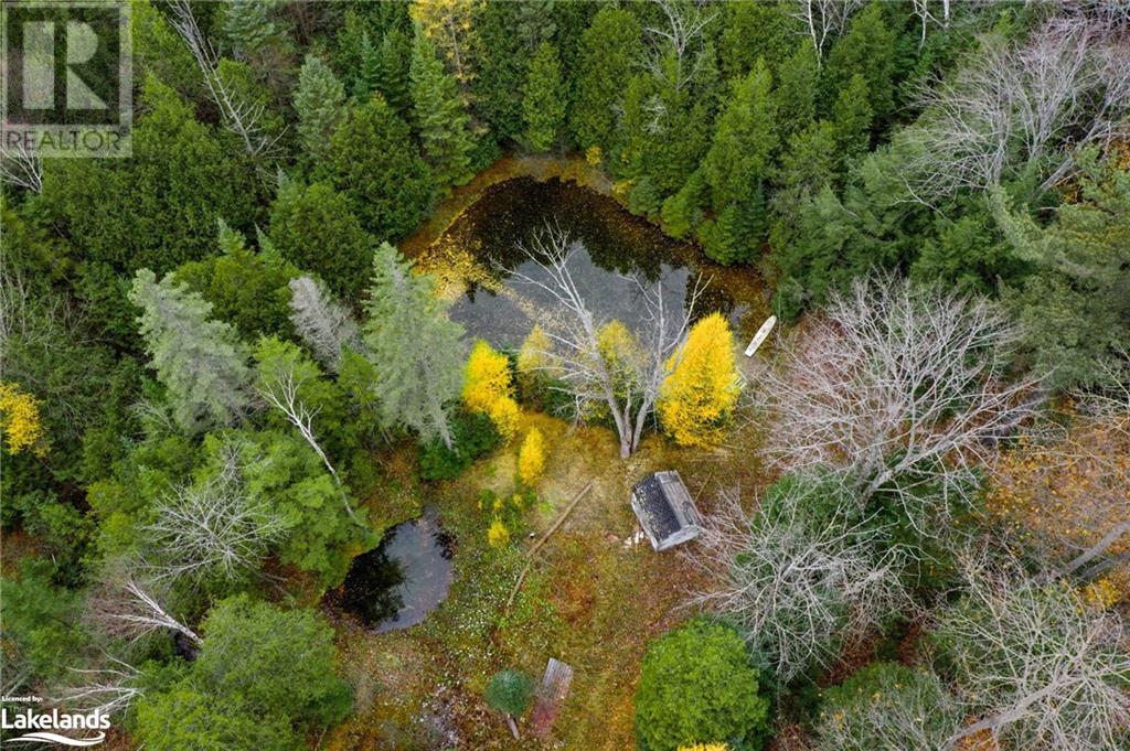 170 Balm Beach Road W, Tiny Twp, Ontario  L0L 2J0 - Photo 11 - 40510626