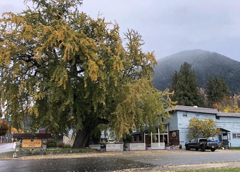 509 Slocan Avenue, Village Of New Denver, British Columbia V0G 1S0