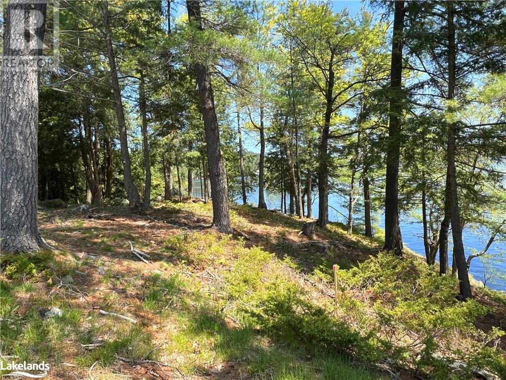 Lot 3-600 Evergreen Trail, Utterson, Ontario  P0B 1M0 - Photo 7 - 40510797