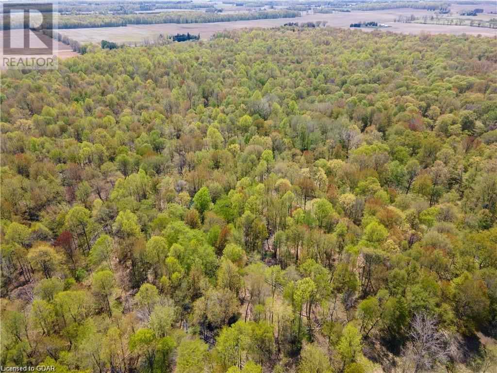 24611 Pioneer Line, West Lorne, Ontario  N0L 2P0 - Photo 6 - 40511952