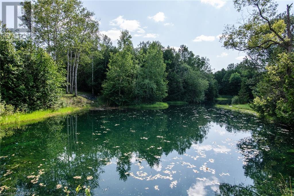 183068 Grey Road 9, Southgate, Ontario  N0G 2A0 - Photo 23 - 40509812