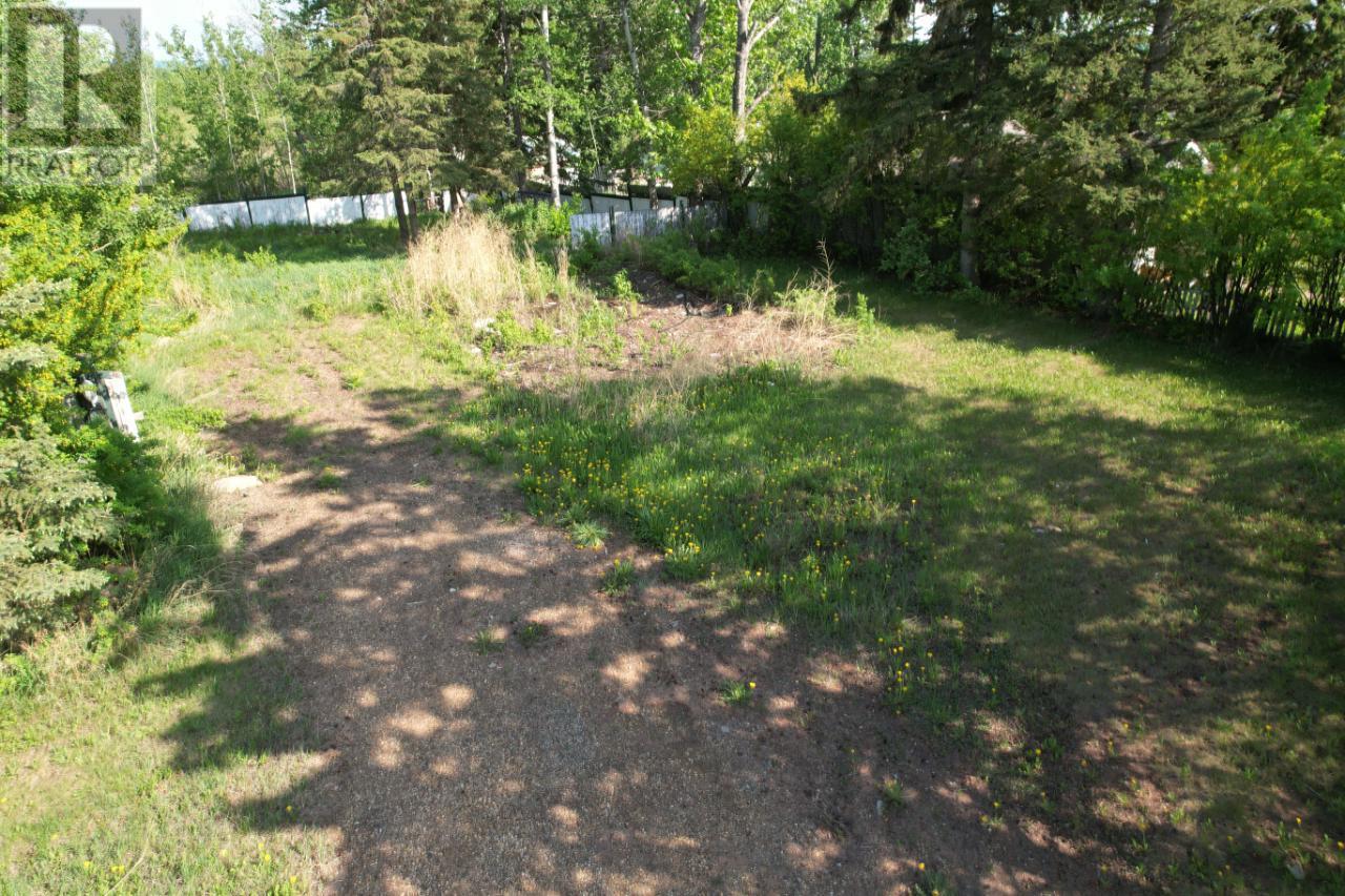 10708 17 Street, Dawson Creek, British Columbia  V1G 4C5 - Photo 5 - 199335