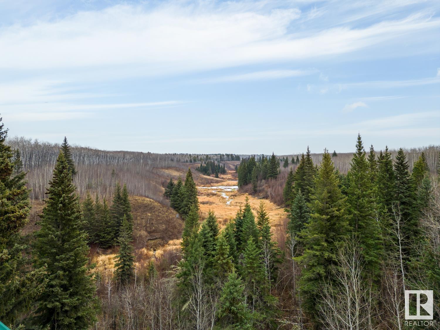 62407 Range Road 431, Rural Bonnyville M.d., Alberta  T9M 1P3 - Photo 6 - E4365173