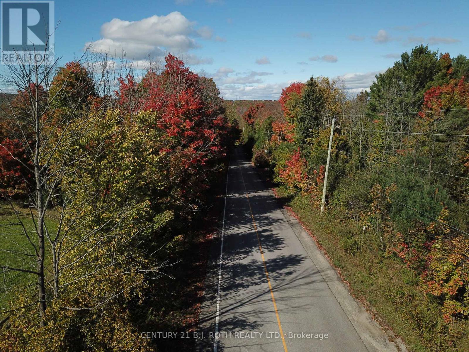 388 Woodland Drive, Oro-Medonte, Ontario  L3V 0R8 - Photo 7 - S7298902