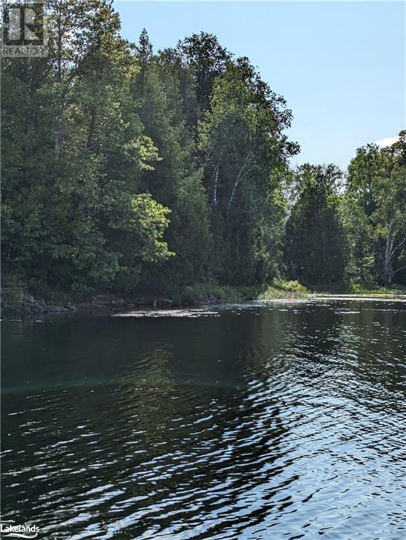 0 Shawanaga Lake, Whitestone, Ontario  P0A 1G0 - Photo 13 - 40513419