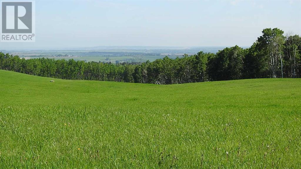 79.41 Acres Se-13-22-3w5, Rural Foothills County, Alberta  T1S 2T7 - Photo 8 - A2057428