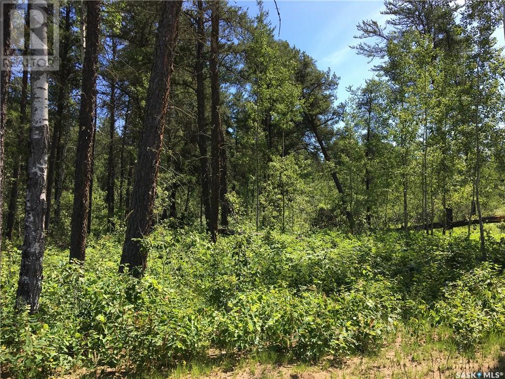 Prime Acreage Lot 3 Block T, nipawin rm no. 487, Saskatchewan