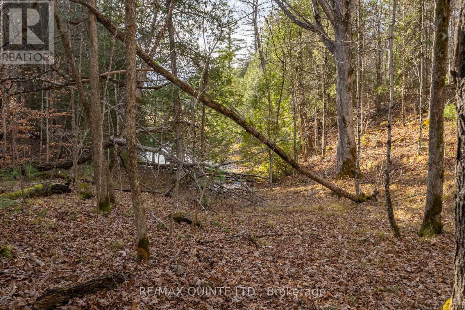 0 Highway 41, Addington Highlands, Ontario  K0H 1Z0 - Photo 17 - X7308322