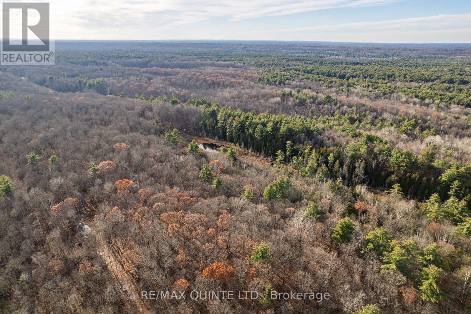 0 Highway 41, Addington Highlands, Ontario  K0H 1Z0 - Photo 2 - X7308322