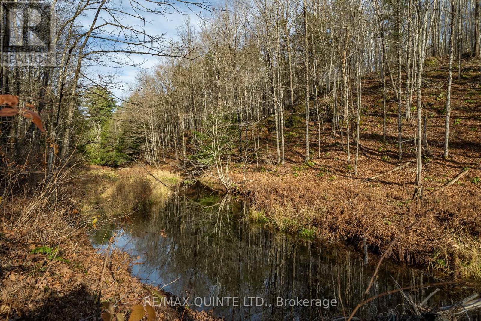 0 Highway 41, Addington Highlands, Ontario  K0H 1Z0 - Photo 33 - X7308322